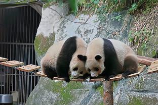 徐静雨谈梅西不上场：那得看梅西是之前就有伤还是突然受伤了